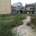 Sporcizia e incuria nella zona dell'ex Macello comunale