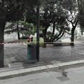 Cappuccini, dopo la "pioggia " di topi torna il "sereno "
