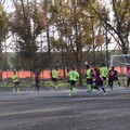 Nuova Andria, solo un pari con l'Atletico Acquaviva: 1-1 al "Fidelis "