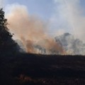 Tre incendi a pochi chilometri dal Castel del Monte. Bruciati 3 ettari di terreno