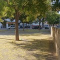 La denuncia del PD :” Mancata manutenzione e degrado nelle aree verdi della nostra città”