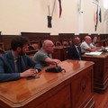 L'assessore Matera presenta il regolamento sui dehors alle associazioni di categoria
