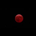 E "super " Luna fu, l'eclissi incanta gli andriesi a Castel del Monte