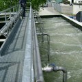 Acque contaminate ad Andria, Onda d’Urto cerca di far chiarezza