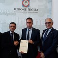 Camminata tra gli olivi, il paesaggio dell'olio in Puglia: presentazione in Regione