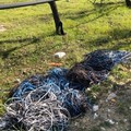 Il volto sporco di Andria: incuria e degrado in zona Sgarantiello