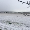 Gelo dalla Siberia, neve a Castel del Monte ad Andria