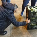 Mercato ortofrutticolo andriese: all’alba sopralluoghi e controlli
