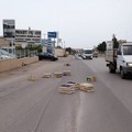 Cassette di frutta sulla Andria-Trani: strada chiusa per un'ora circa
