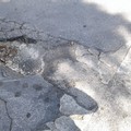 Strade sempre più dissestate ad Andria: segnalata una grossa buca in Via degli Oleandri