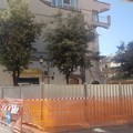 Crollo via Pisani, la Procura di Trani apre un'inchiesta