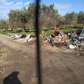 Ciappetta-Camaggio, ancora immondizia e ingombranti lungo le strade adiacenti