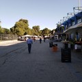 Fase 2: al mercato settimanale di Andria termoscanner e ingressi contingentati