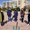 Semi di speranza nel parco  "Ursi " di Andria: piantati 50 alberelli di corbezzolo