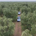 Sicurezza nelle campagne, il Questore Pellicone incontra alcuni imprenditori agricoli di Andria