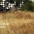 Polizia Locale di Andria, prevenzione incendi: 141 sanzioni, anche con l’impiego di droni
