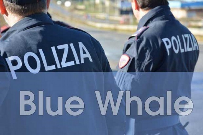 blue whale