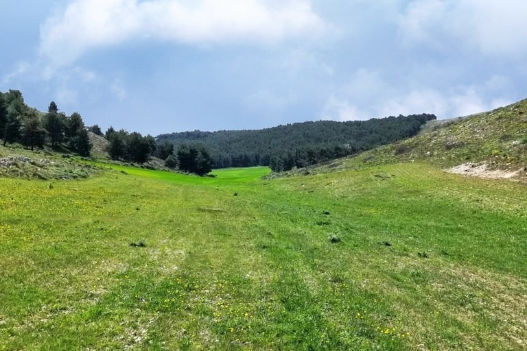 bosco parco dell'alta Murgia