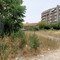 NPsi Andria, "Non è natura ma abbandono: Andria e il fallimento del verde pubblico"
