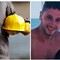 Incidente mortale operaio andriese, Fillea e Cgil: "Enrico ennesima vittima del dovere"