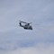 Operazione "Alto impatto" in corso ad Andria: elicottero della Polizia di Stato perlustra le contrade rurali