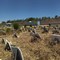 Campo 7 del cimitero comunale, erba alta: la segnalazione di un lettore