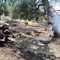 Incendio ad Andria in un'azienda agricola in via Malpighi