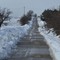 Emergenza neve rientrata ad Andria: problemi a Minervino e Spinazzola