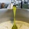 Olio d'oliva, Coldiretti: annata straordinaria in Puglia con qualità eccellente