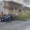 Un albero di ligustro cade su un auto in sosta: é accaduto in via Vittorio Veneto