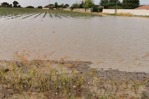 terreno agricolo allagato