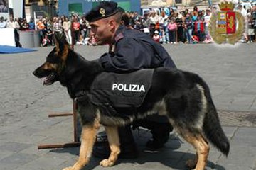 Cane poliziotto conduttore