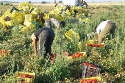 Caporalato lavoro nero