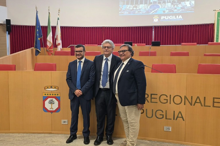 Insediata la Commissione criminalità: Domenico De Santis eletto vice presidente
