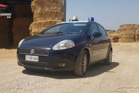 carabinieri