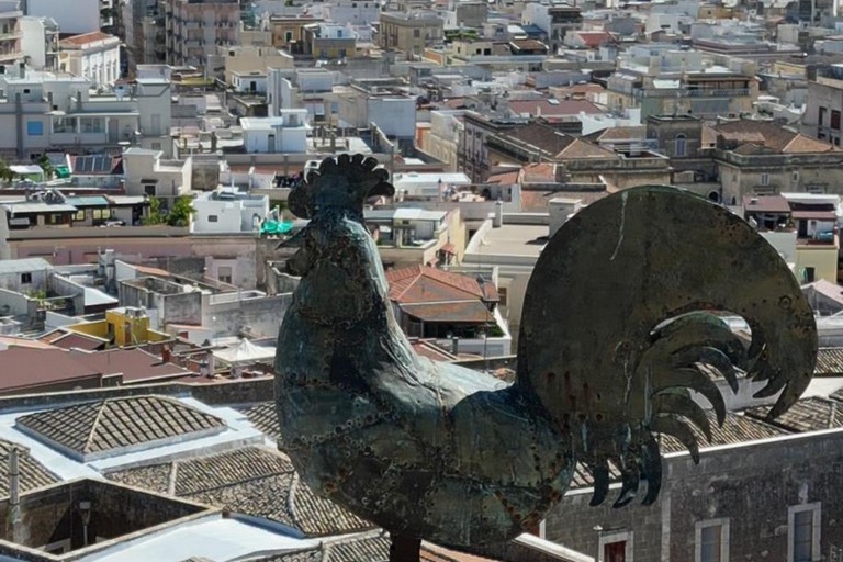 panorama di Andria. <span>Foto Francesco Casiero </span>