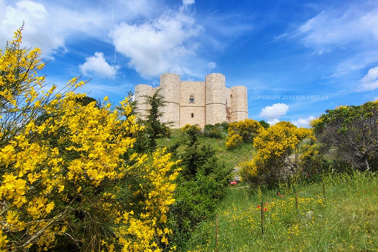 Castel del Monte. <span>Foto Ida Vinella</span>
