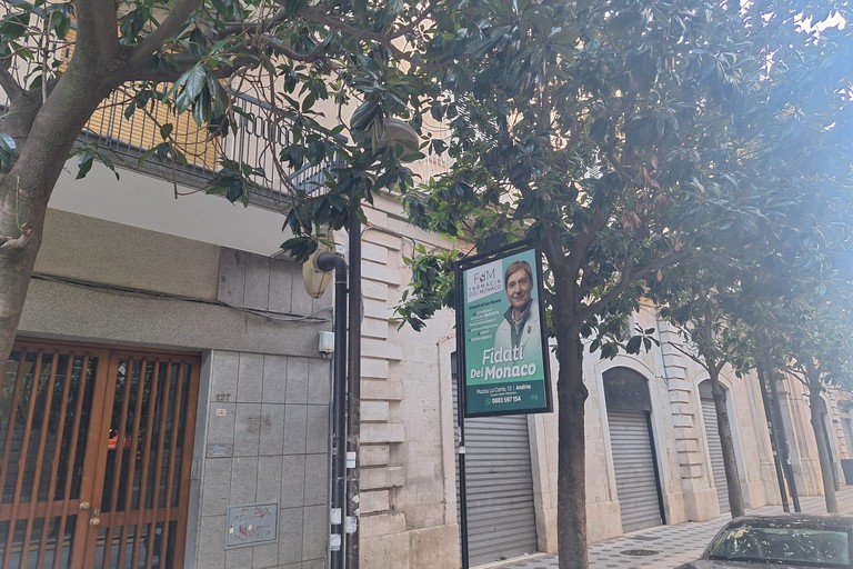 scarsa luminosità a causa delle magnolie presenti