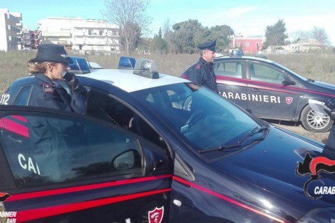 Carabinieri al lavoro