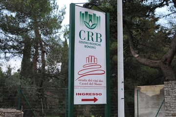 Centro Ricerche Bonomo Andria