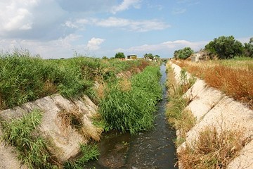 Canale Ciappetta Camaggi