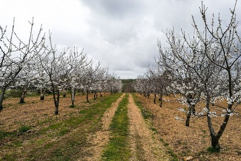 agricoltura