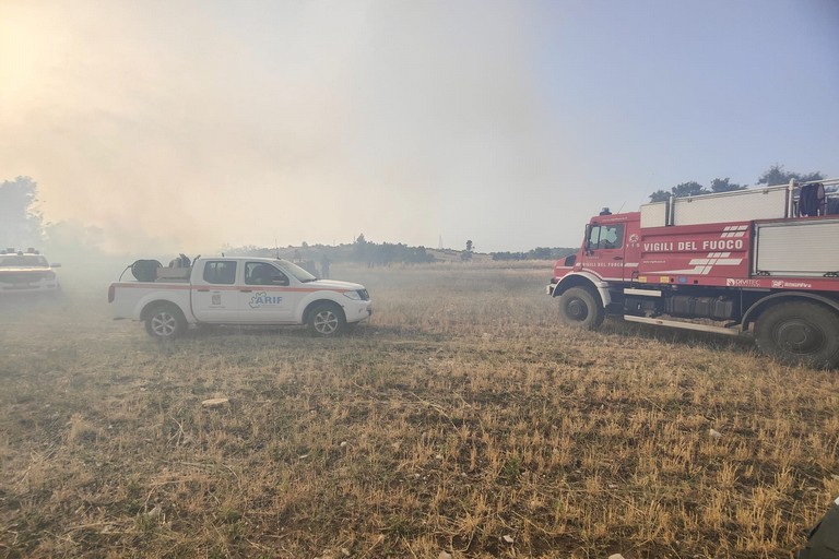 Oltre 800 ettari in fumo sulla Murgia minervinese: indagano i Carabinieri forestali di Altamura e di Andria