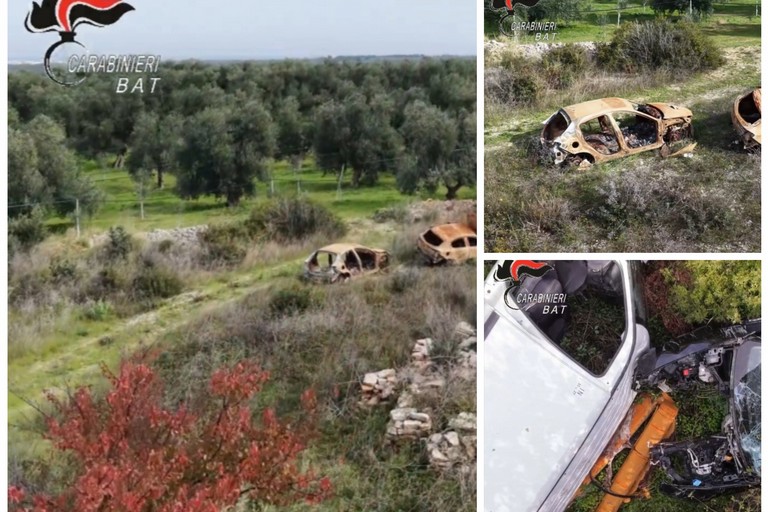 Carcasse di auto rubate