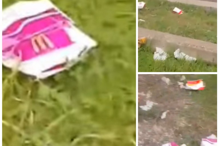 Rifiuti nei pressi del McDonald's