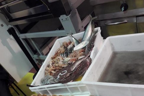 cucina per la preparazione di un pranzo a base di pesce