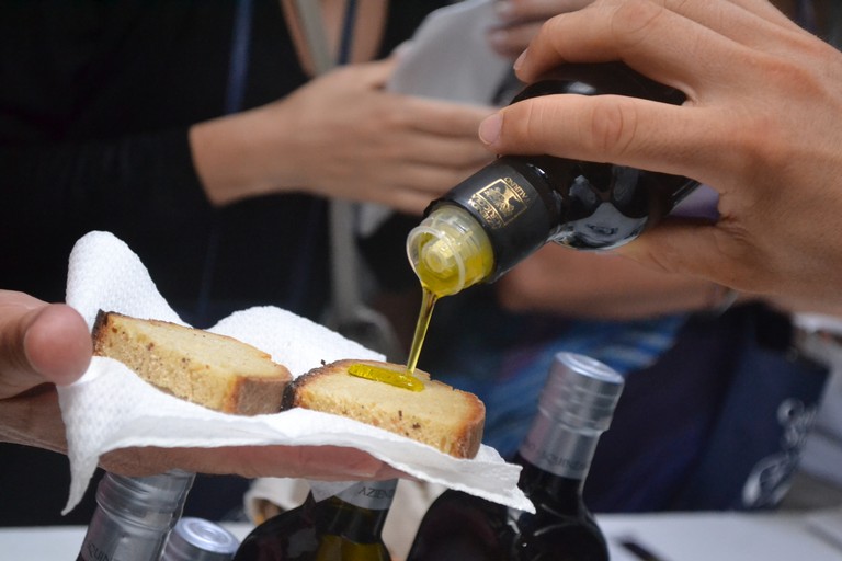 Crisi olivicola, Coldiretti Puglia: "Stanare i trafficanti che ingannano i cittadini e danneggiano gli agricoltori"