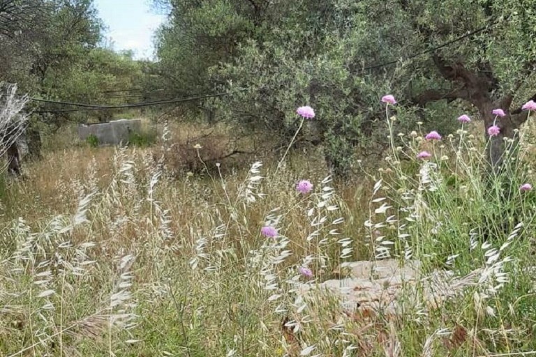 degrado per l'azienda agricola provinciale Papparicotta