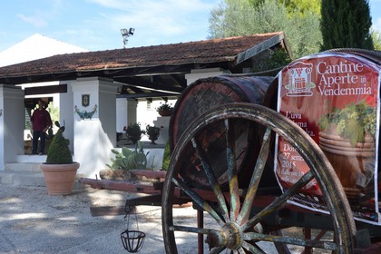 Benvenuta Vendemmia, in migliaia nelle cantine di Andria