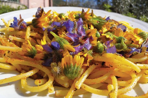 fiori eduli. <span>Foto Immagine tratta da Ilfloricultore</span>